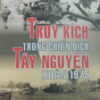Books02_04_2010_truy-kich-trong-chien-dich-tay-nguyen-1.jpg