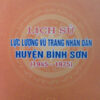 Books06_12_2010_luc-luong-vu-trang-huyen-binh-son-1.jpg