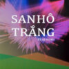 Books15_12_2016_san-ho-trang-1.jpg