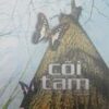 Books19_09_2011_coi-tam-1.jpg