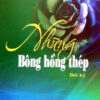 Books30_09_2015_nhung-bong-hong-thep-1.jpg